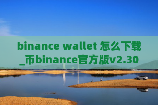 binance wallet 怎么下载_币binance官方版v2.30.1