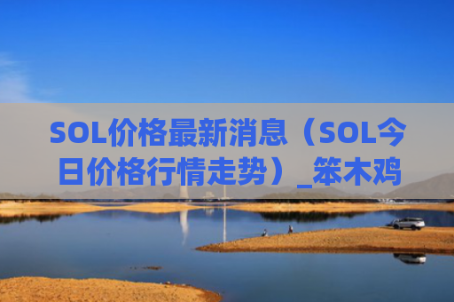 SOL价格最新消息（SOL今日价格行情走势）_笨木鸡