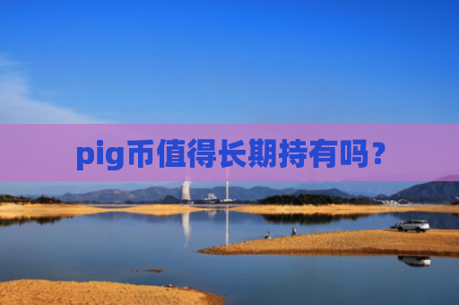 pig币值得长期持有吗？