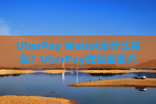 UberPay Wallet是什么钱包？UberPay钱包全面介绍