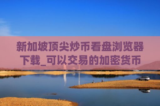 新加坡顶尖炒币看盘浏览器下载_可以交易的加密货币冷钱包市场占有率排名