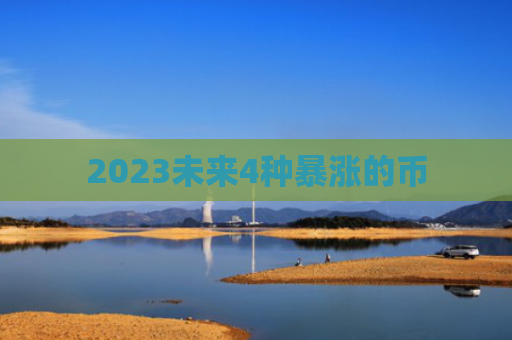 2023未来4种暴涨的币
