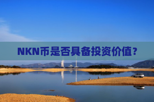 NKN币是否具备投资价值？