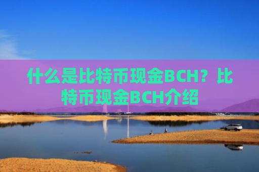 什么是比特币现金BCH？比特币现金BCH介绍