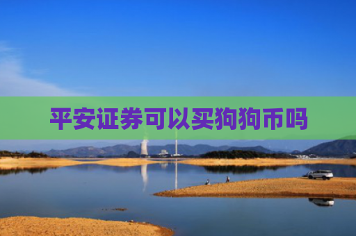 平安证券可以买狗狗币吗