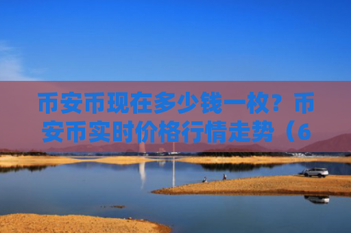 币安币现在多少钱一枚？币安币实时价格行情走势（6月19日）