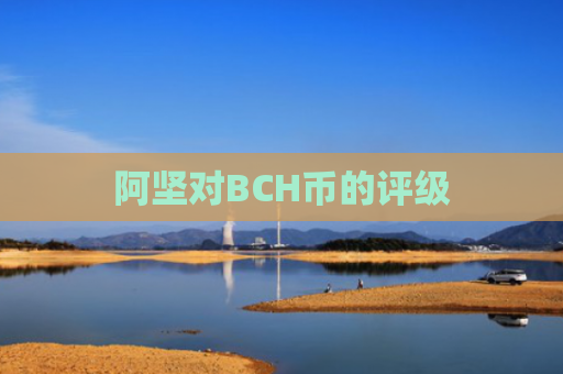 阿坚对BCH币的评级