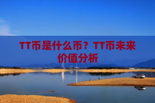 TT币是什么币？TT币未来价值分析