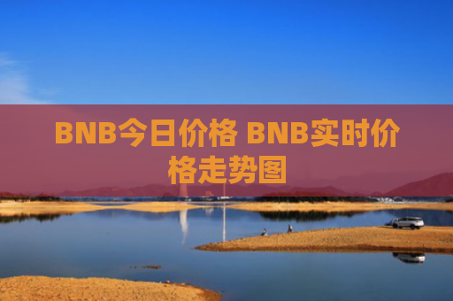 BNB今日价格 BNB实时价格走势图