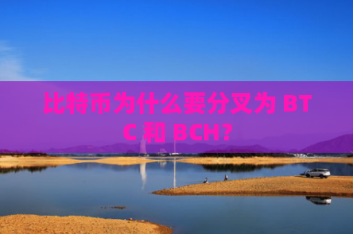 比特币为什么要分叉为 BTC 和 BCH？