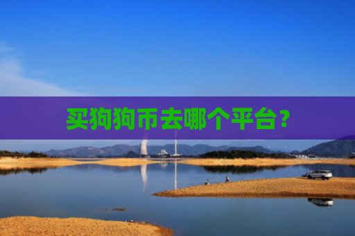 买狗狗币去哪个平台？