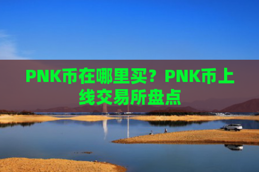 PNK币在哪里买？PNK币上线交易所盘点