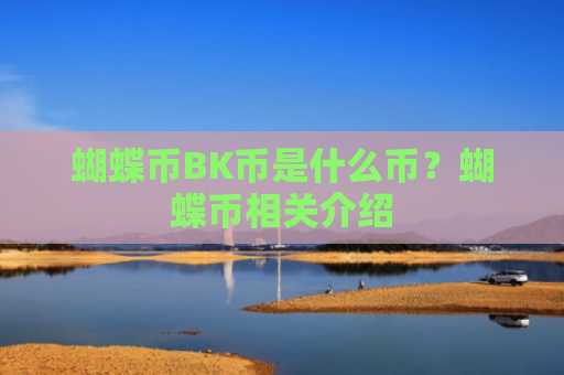 蝴蝶币BK币是什么币？蝴蝶币相关介绍
