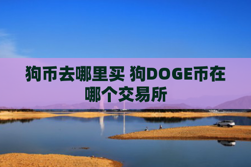 狗币去哪里买 狗DOGE币在哪个交易所