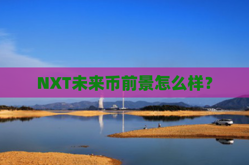 NXT未来币前景怎么样？