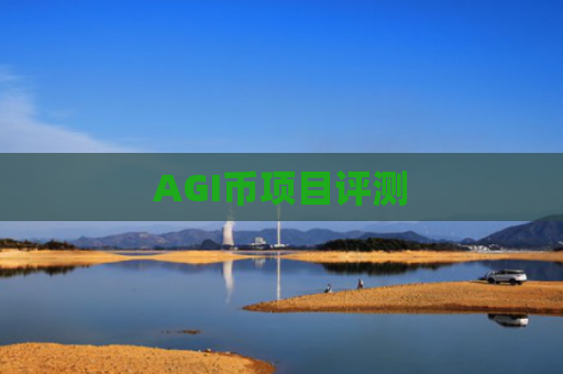 AGI币项目评测