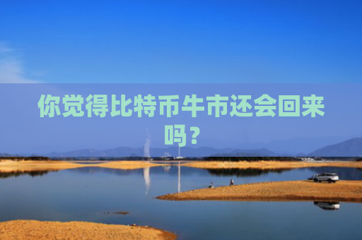 你觉得比特币牛市还会回来吗？
