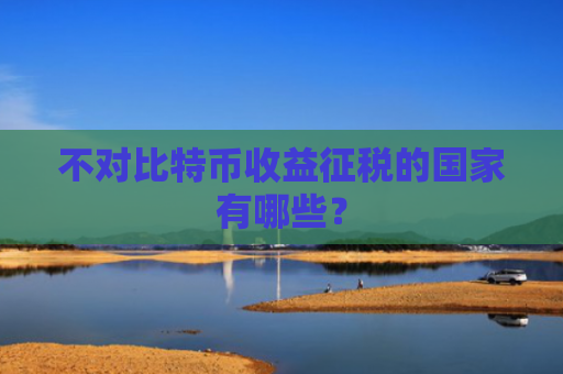 不对比特币收益征税的国家有哪些？