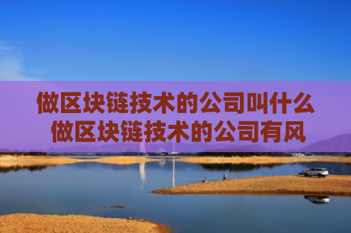 做区块链技术的公司叫什么 做区块链技术的公司有风险么