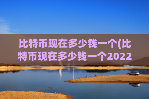 比特币现在多少钱一个(比特币现在多少钱一个2022)