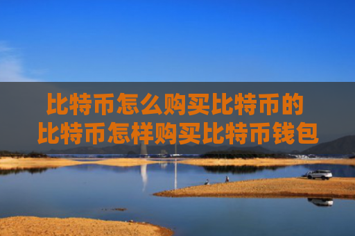 比特币怎么购买比特币的 比特币怎样购买比特币钱包