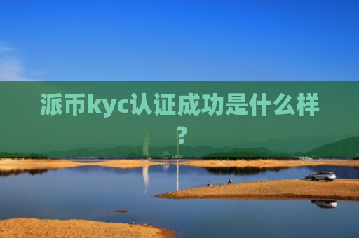派币kyc认证成功是什么样？