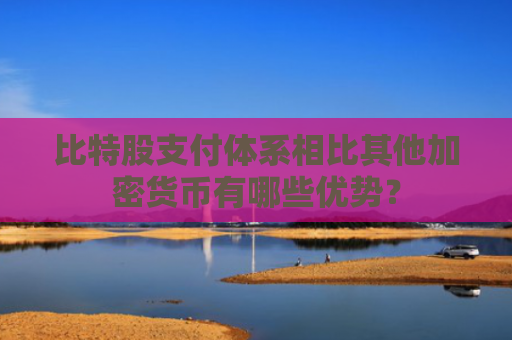 比特股支付体系相比其他加密货币有哪些优势？