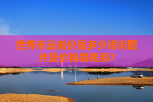 世界币最低价是多少钱啊图片及价格表视频？