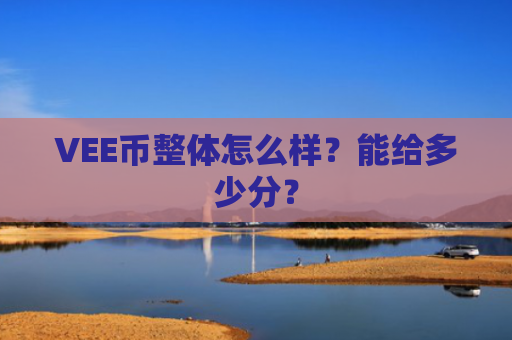 VEE币整体怎么样？能给多少分？