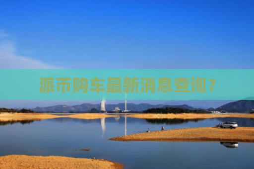 派币购车最新消息查询？