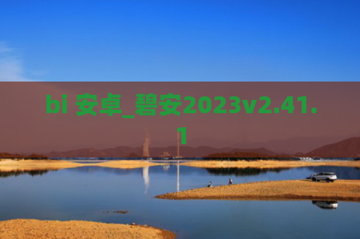 bi 安卓_碧安2023v2.41.1