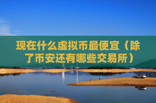 现在什么虚拟币最便宜（除了币安还有哪些交易所）