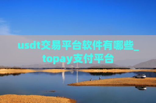 usdt交易平台软件有哪些_topay支付平台