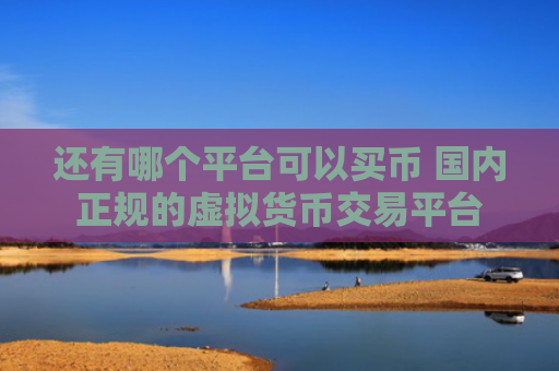 还有哪个平台可以买币 国内正规的虚拟货币交易平台