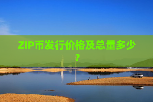 ZIP币发行价格及总量多少？