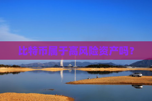 比特币属于高风险资产吗？