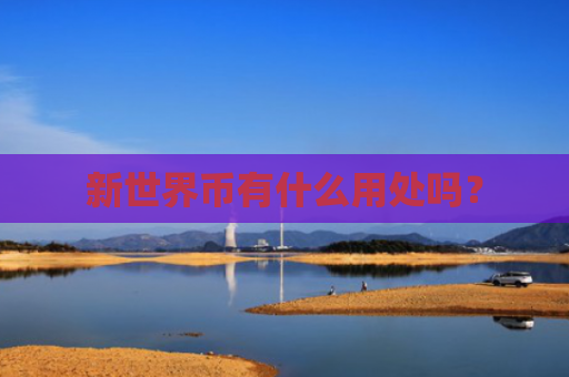 新世界币有什么用处吗？