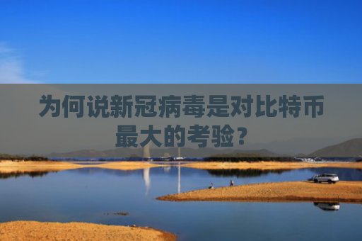 为何说新冠病毒是对比特币最大的考验？