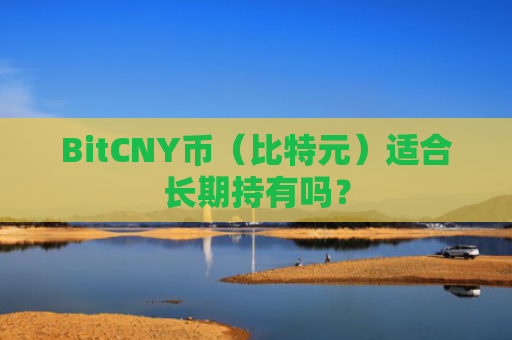 BitCNY币（比特元）适合长期持有吗？
