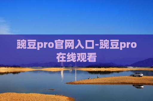 豌豆pro官网入口-豌豆pro在线观看