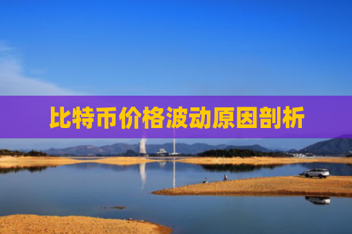 比特币价格波动原因剖析