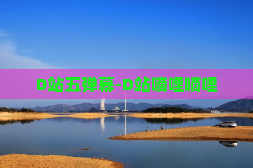 D站五弹幕-D站嘀哩嘀哩