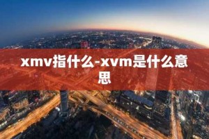 xmv指什么-xvm是什么意思