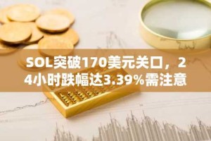 SOL突破170美元关口，24小时跌幅达3.39%需注意风险