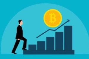 TP钱包支持什么网络？TP钱包网络设置教程