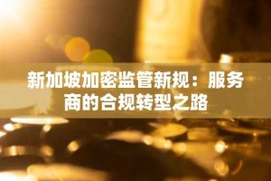 新加坡加密监管新规：服务商的合规转型之路