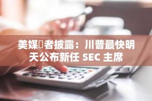 美媒記者披露：川普最快明天公布新任 SEC 主席