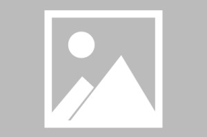 欧意交易所app官方下载苹果_易欧交易所App苹果版下载